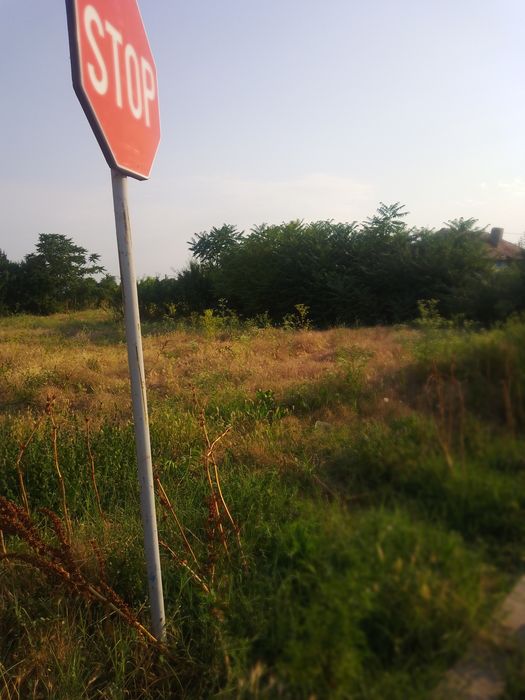 Teren intravilan mosneni