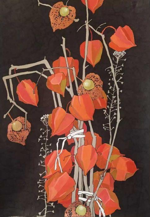 Физалис цветы сухоцветы