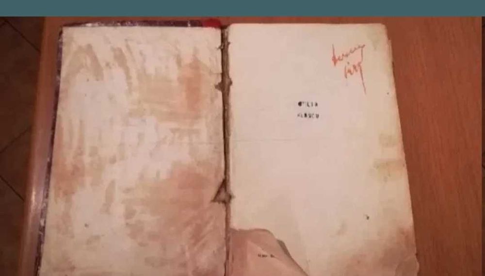 Carte  Instinctul sexual 1921, Dr iosif westfried