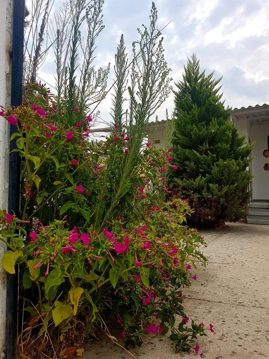 Къща за гости Паралия Офринио, Гърция