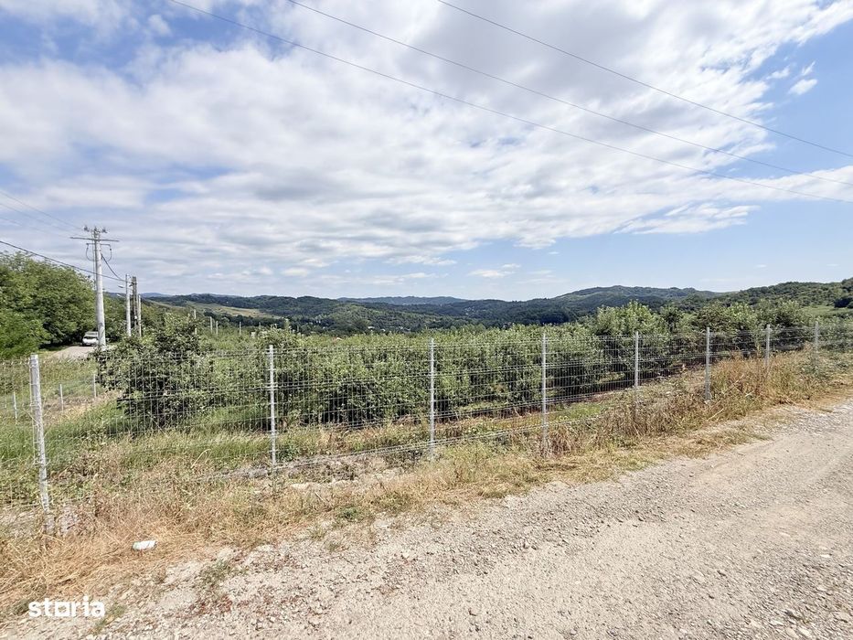 Teren intravilan 2771mp, cu livadă de meri, Breaza - Livada lui David