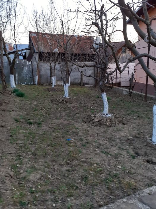 Casă și teren Buhea de Jos, Prahova