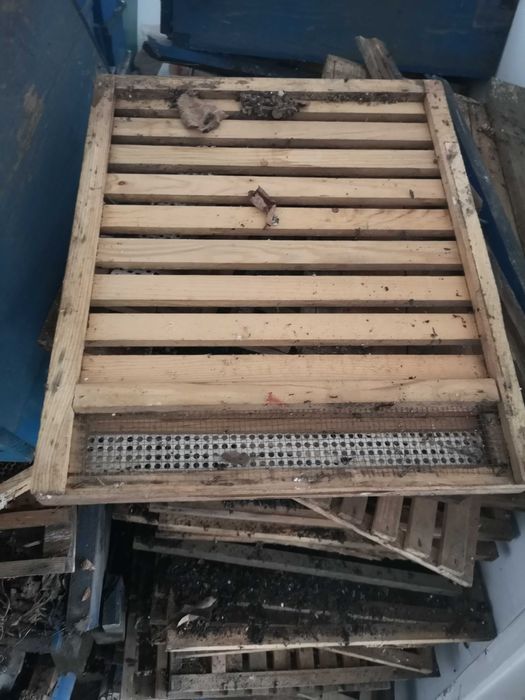 Продавам пчелни кошери