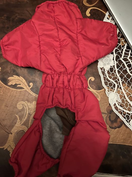 Hainuta caine talie mica