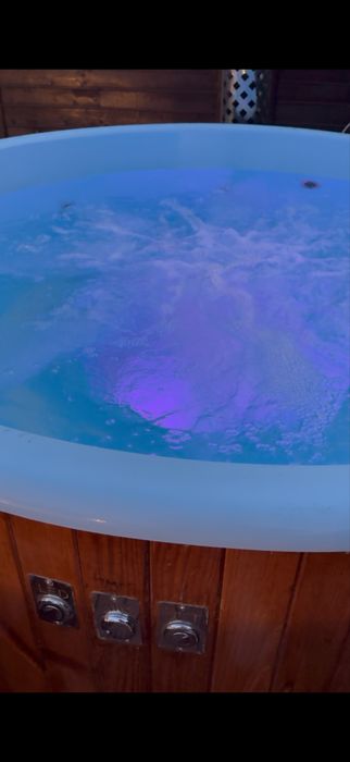 Cazare Vila, Cabana Majestic de inchiriat integral cu piscina ,ciubar,foisor
