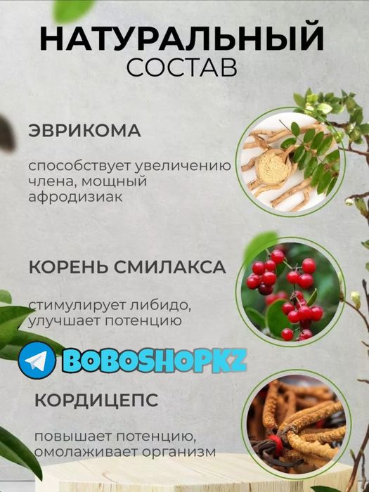 активаторнаш паловелама