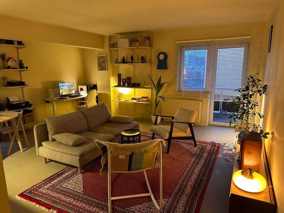 Studio Greenfield de la proprietar