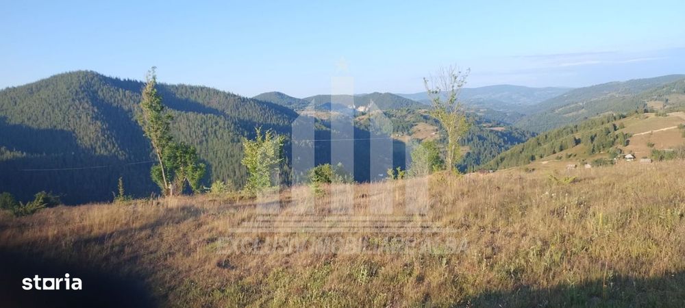 Teren intravilan | 3565 mp | Ideal constructie cabane | Garda de Sus