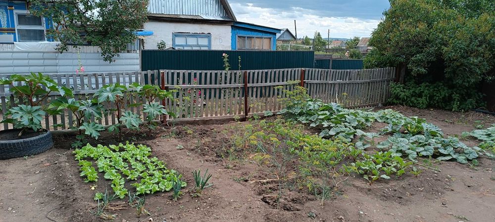 Продам дачу на зерендинские дачах