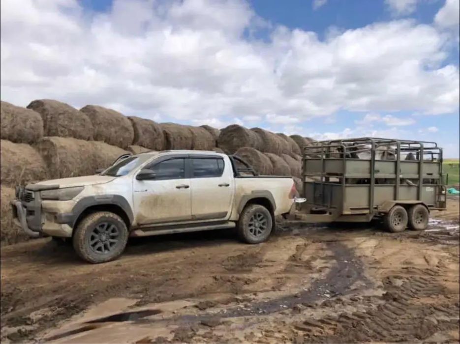 Прицеп/коневоз/скотовоз