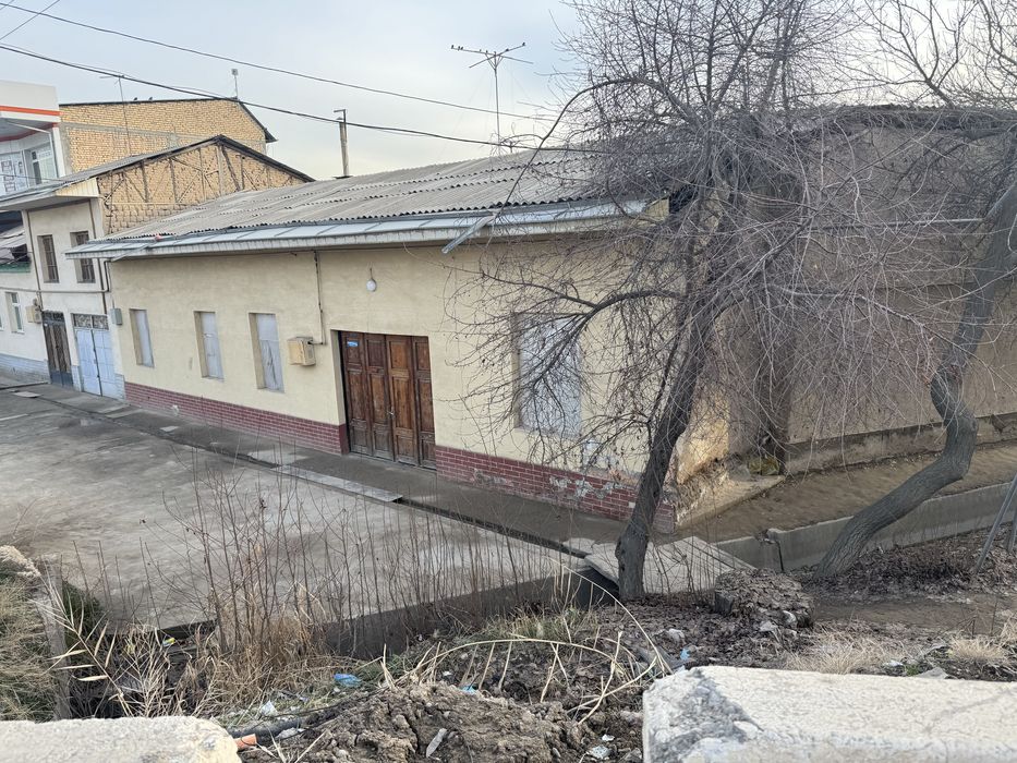 Ko’ksaroyda insitutdan otganda masjiddi torisida ugulavoy yaxshi joy