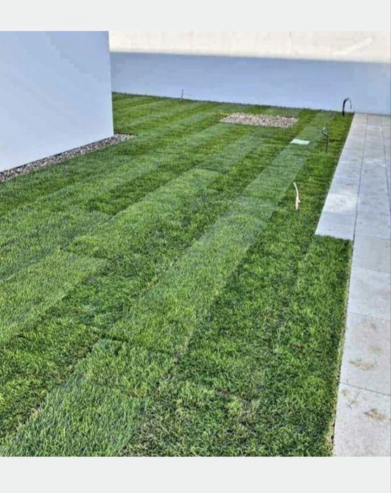 Gazon Tip rulou Pentru Exterior