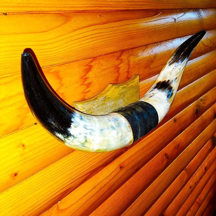 Декорация от рога на воден бивол