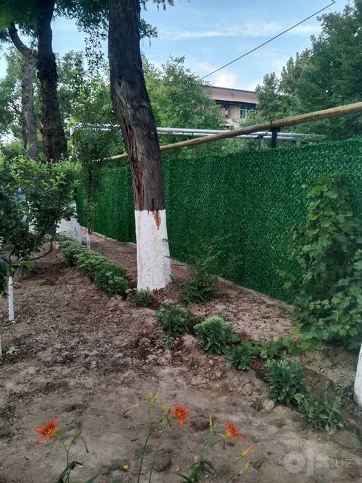 Eron zabor suniy gazon zabor