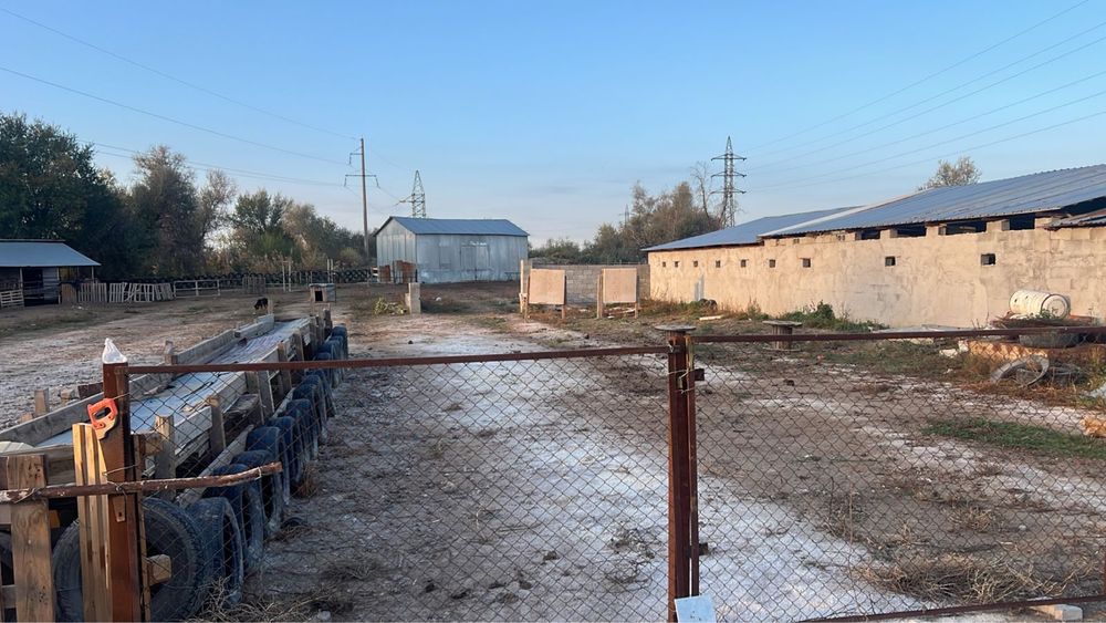 Сдам в аренду конюшню Байсерке