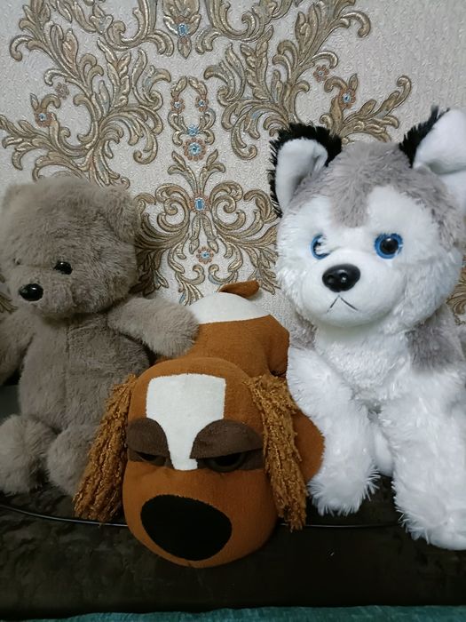 Мягкие игрушки:мишка,кот,собака.