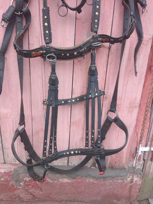 Ham de Cluj și căruță de Lona