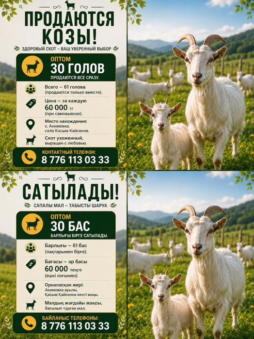 Козы с козлятами