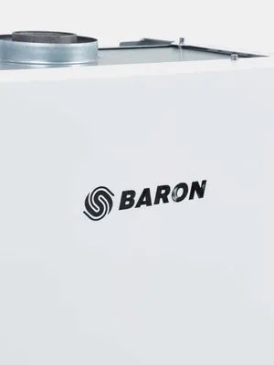 Гозовая колонка Boron