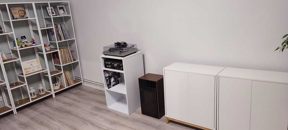 Fun generation Vinyl rack