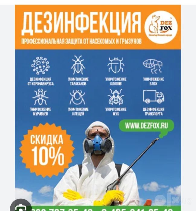 Дезинфекция Самые Дешёвые Цены У Нас 100% Профисионалы
