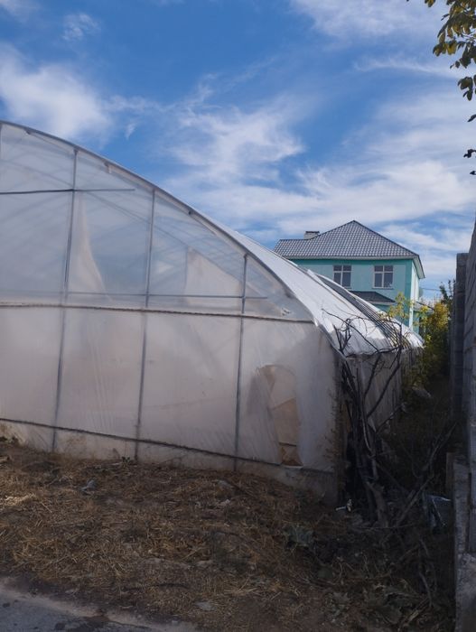 Теплица в хорошем состоянии