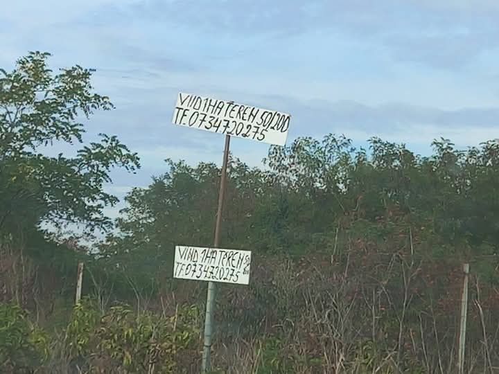 Teren 10000 m Autostrada București Pitesti,km 25