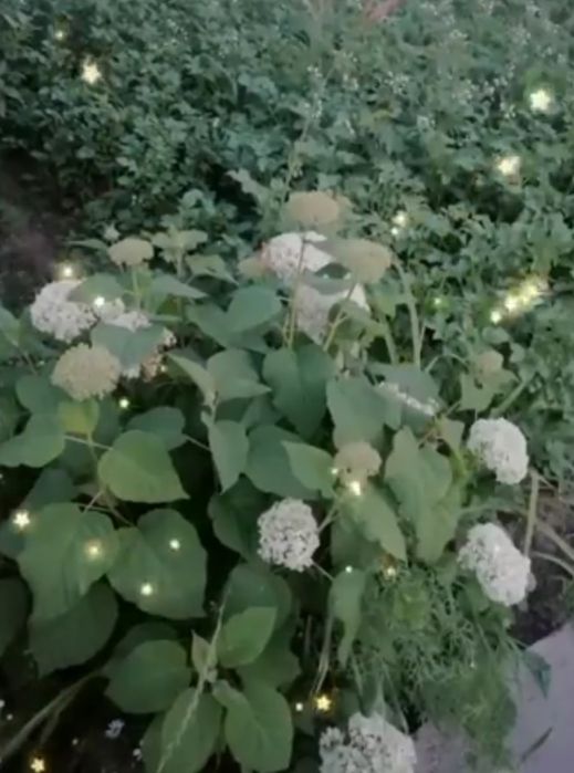 Продам дачу С/К Дорожник