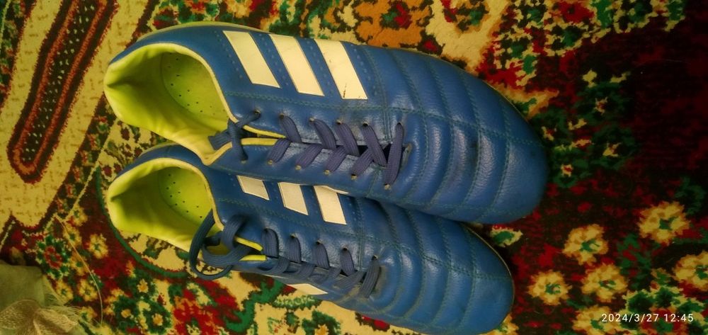 Manzil Toshkent shahri