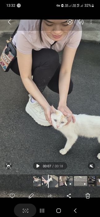 Срочно отдам в хорошие руки кота