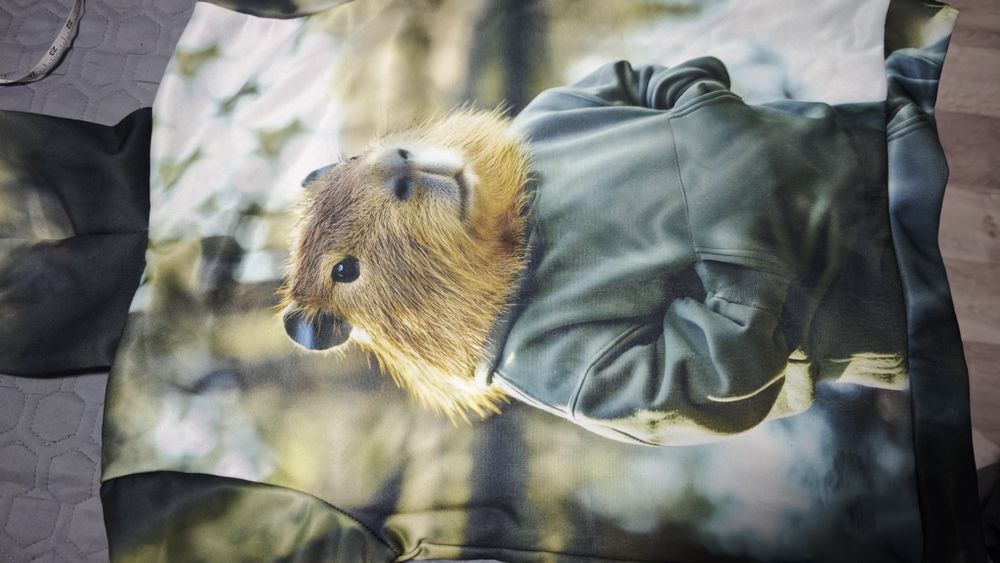 Худи с капибарой