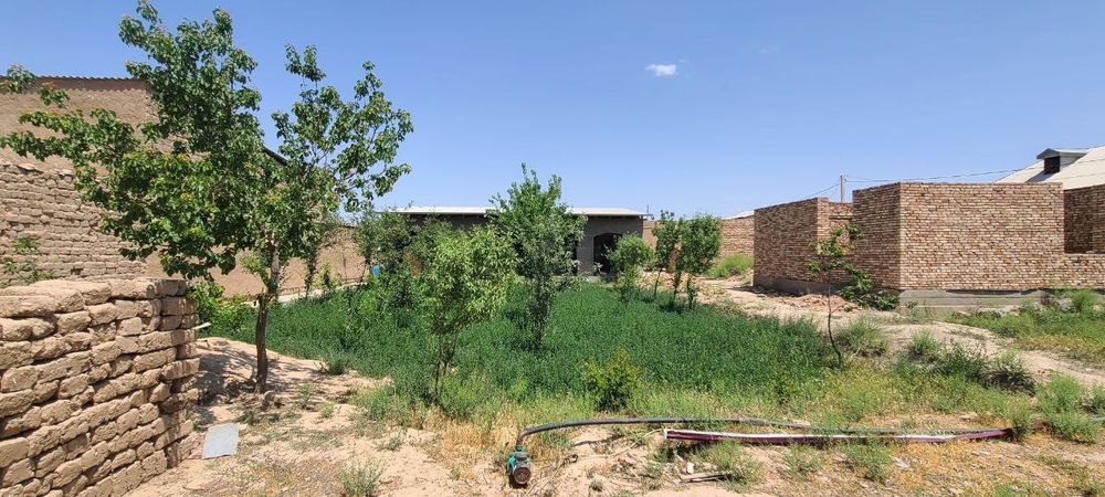 12 soʻtix uchastka sotiladi