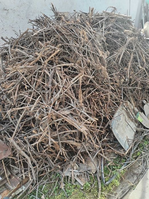 Мелкие драва в кафе