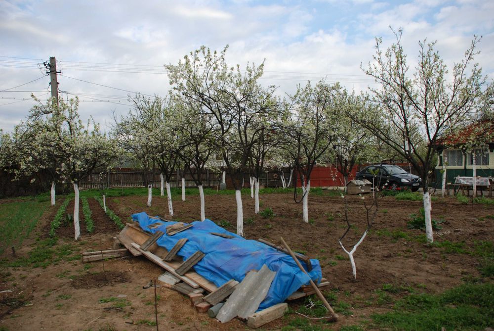 Vand teren intravilan 4.232 mp in com. Merei, jud. Buzau - locatie excelenta