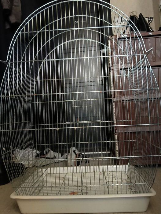 Клетка за папагал с папагал