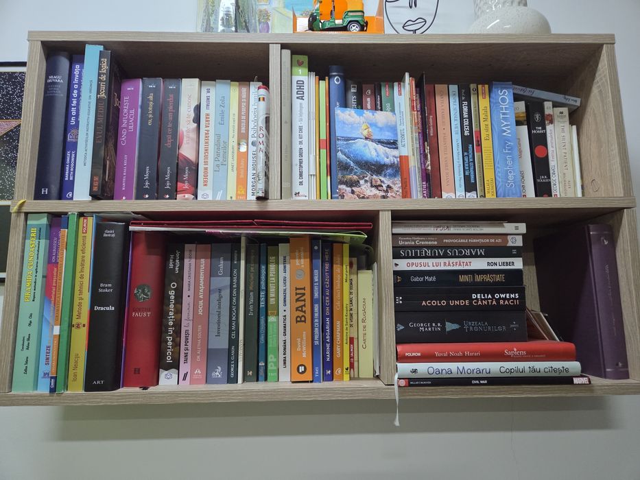 Corp bibliotecă solid