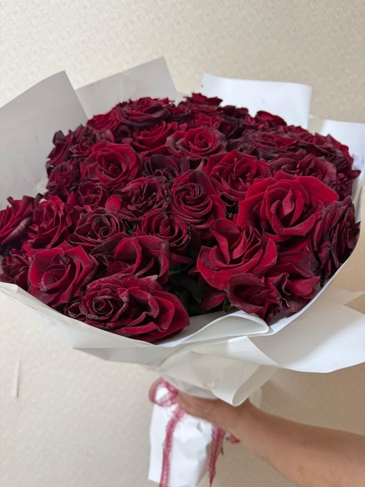 Солмаған гүлғоой