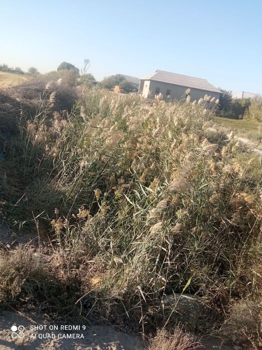 Qamich sotiladi kelishilgan narxda