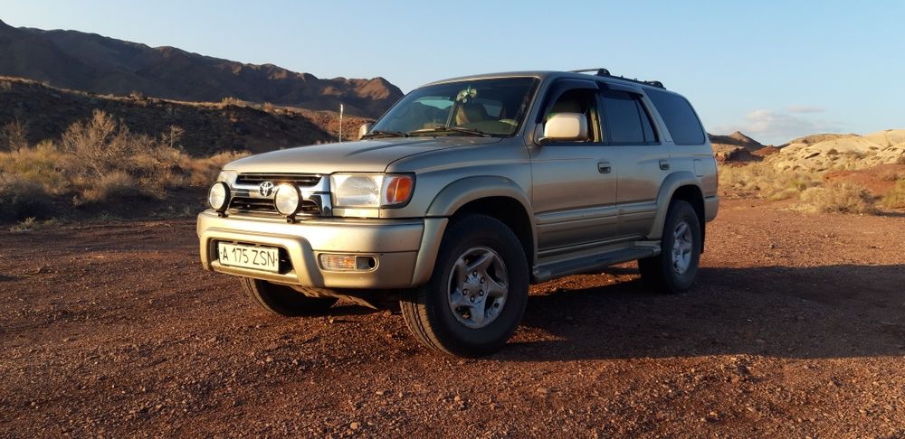 Перевозка животных