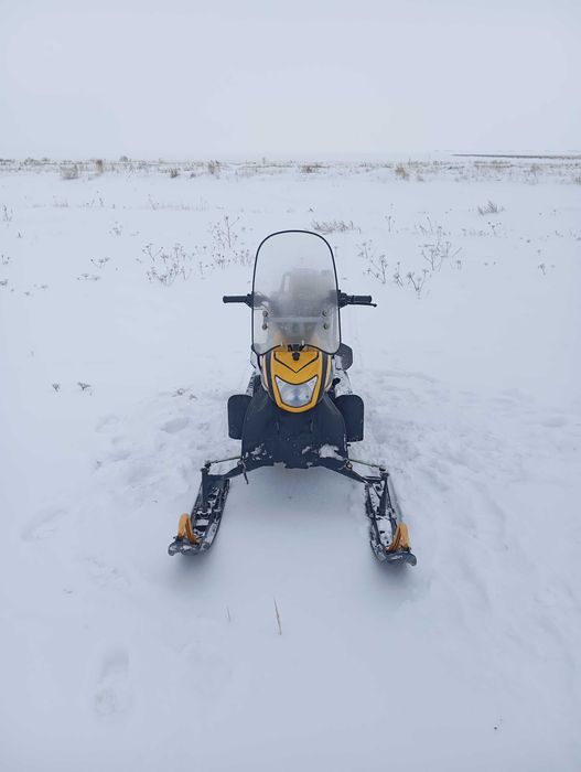 Снегоход динго150