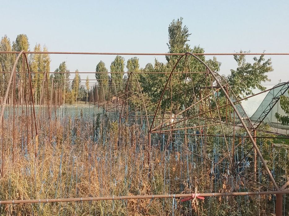 TЕПЛИЦА срочно сотилади  13.5 сотих - сув окувd латоги йок