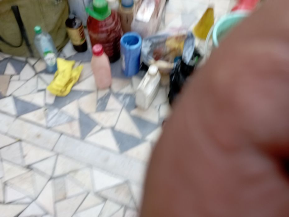 Archa dekaratif ekish dorilash