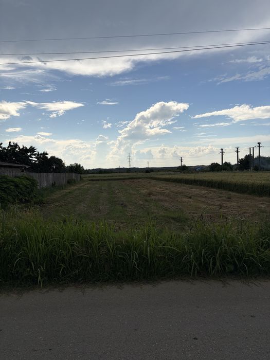 Teren intravilan 1.060 mp | Curtișoara (Olt) | Zonă liniștită, utilități