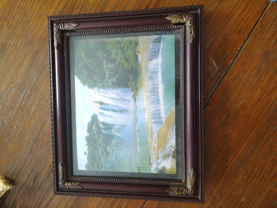 Продам декор из ракушек