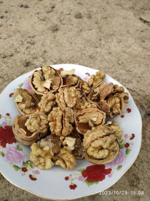 Продается Греческий орех 18000