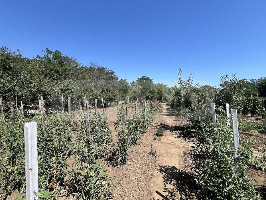 Продава се Къща в с. Видно, Област Добрич - 100 кв.м за 555 €/кв.м - Снимка #16