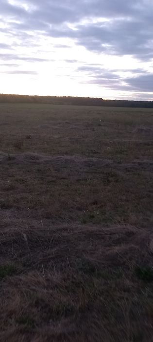 cupă de nisip  ,gunoi cu prindere non-euro