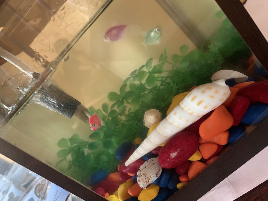 Декор для аквариума и корм
