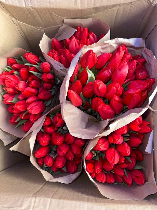 Тюльпаны оптом и в розницу