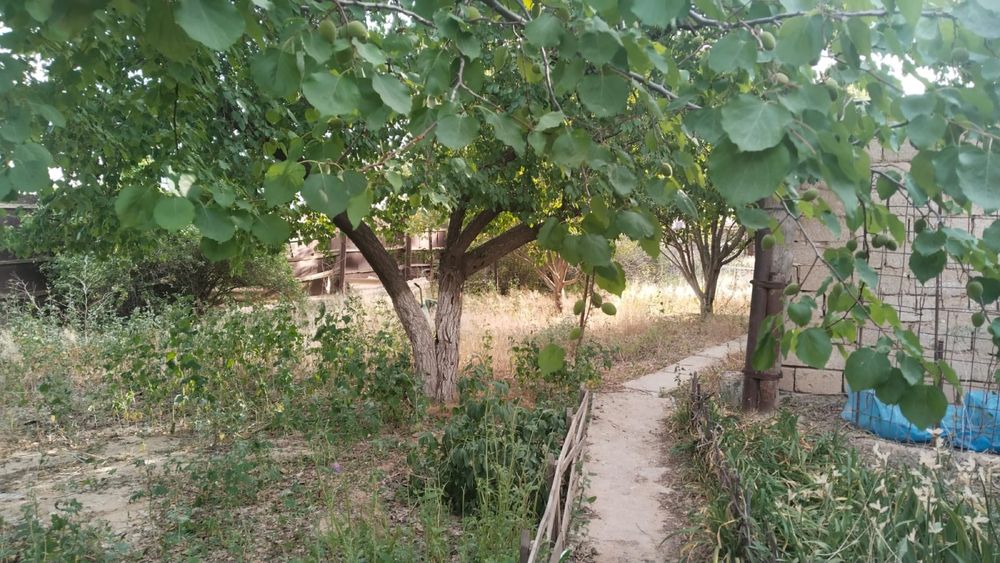 Срочно продается дом в поселке Доссор